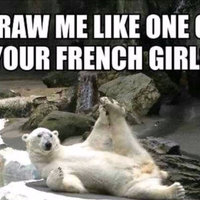 Draw Me Like One of Your French Girls Polar bear holding a leg up as if posing for a drawing