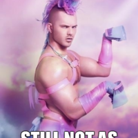 Still Not as Gay as Twilight Still Not as Gay as Twilight