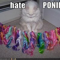 Pony Haters