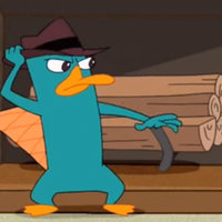 Perry the Platypus Perry the Platypus