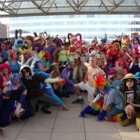 Bronies Bronies