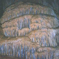 Ted the Caver Ted the Caver