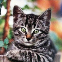 You Must Be New Here