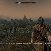 Guard from Skyrim talking about "curved swords" from the elder scrolls meme.