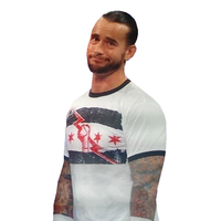 CM Punk Is Not Impressed
