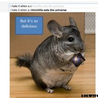 i hate it when a chinchilla eats the universe