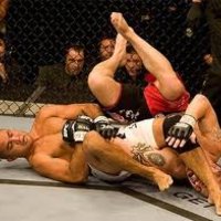 Mixed Martial Arts / MMA / UFC