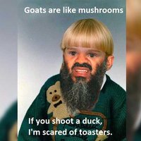 "goats are like mushrooms if you shoot a fuck i'm scared of toasters"