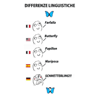 Differenze Linguistiche