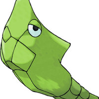 Metapod