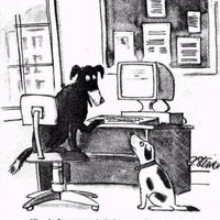 On the Internet, Nobody Knows You're a Dog