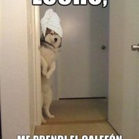 Oye Lucho /  El Perro Del Lucho