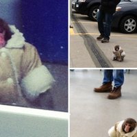 IKEA Monkey IKEA Monkey