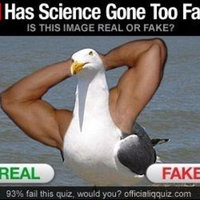 Has Science Gone Too Far? Has Science Gone Too Far?
