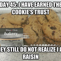 They Still Do Not Realize...