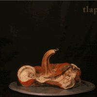 Time Lapse Photography