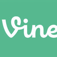 Vine