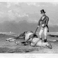 Beating A Dead Horse