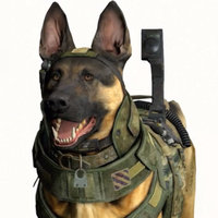 Call of Duty Dog Call of Duty Dog