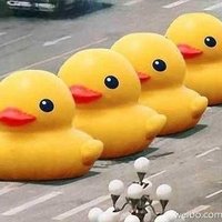 Big Yellow Duck Big Yellow Duck
