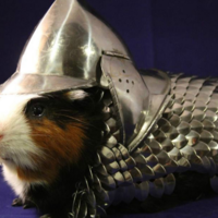 Guinea Pig Armor Charity Auction
