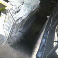 Kevin Rose's Raccoon Toss