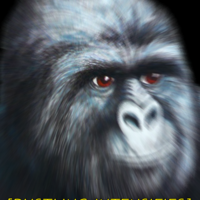 photo of a gorilla's face with blur effect applied to it