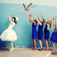 Brides Throwing Cats