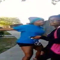 Sharkeisha Fight Video