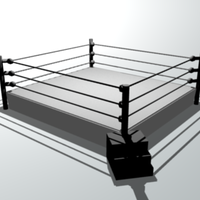 Professional Wrestling