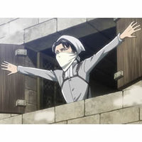 Cleaning Levi Cleaning Levi