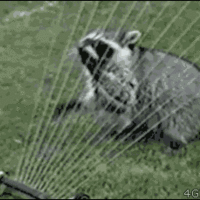GIFs With Sound GIFs With Sound