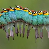 Misleading Thumbnails