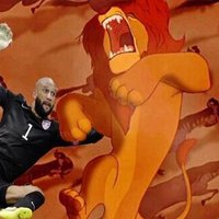 Things Tim Howard Could Save