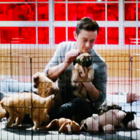 Joseph Gordon Levitt