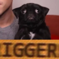 Trigger / Triggered (Slang) Trigger / Triggered (Slang)