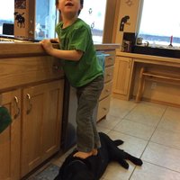 Sarah Palin's Dog Step Stool