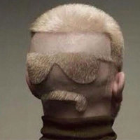 The Barber The Barber