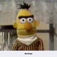 Bertstrips Bertstrips