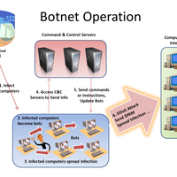 Botnet Botnet