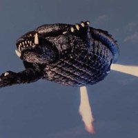 Gamera Gamera