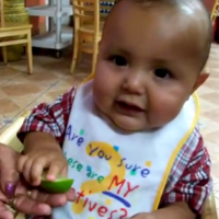 Babies Eating Lemons