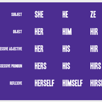 Preferred Pronouns