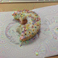 Google DeepDream Google DeepDream