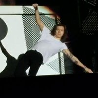 #OhNoHarry #OhNoHarry