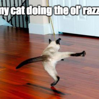 The Ol Razzle Dazzle