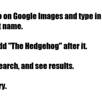 Google "[Your Name] The Hedgehog", Post Result