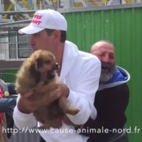 Cause Animale Nord Homeless Man Puppy Stealing