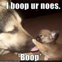 Boop