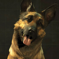 Dogmeat Dogmeat